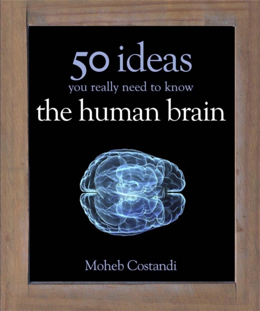 50 Human Brain Ideas You Really Need to Know - Moheb Costandi