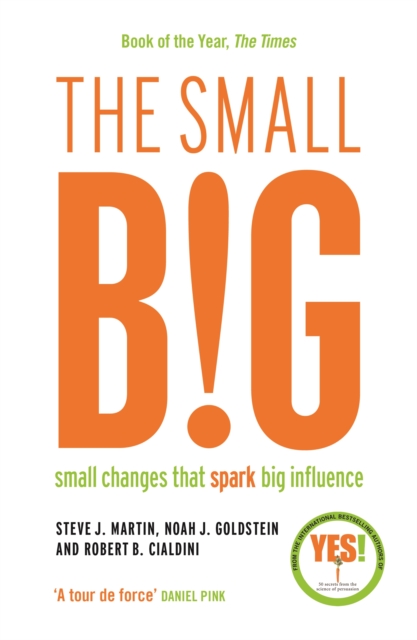 small BIG - Steve J.|goldstein Martin