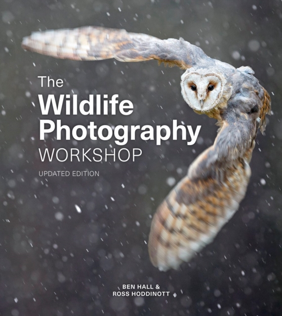 Wildlife Photography Workshop, The - Ross|hall Hoddinott