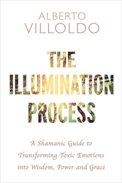 Illumination Process - Alberto Villoldo
