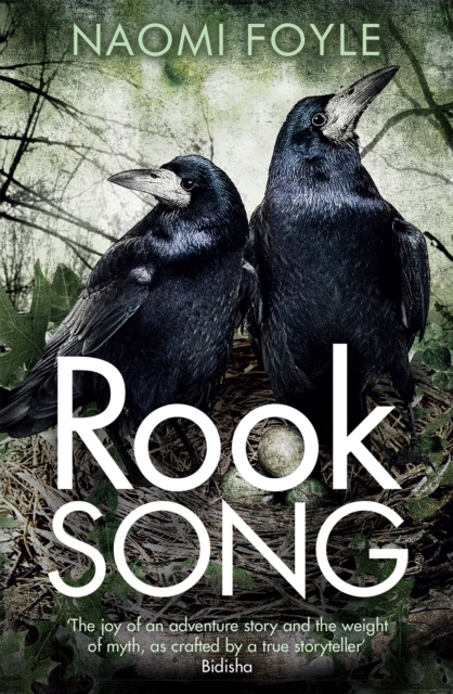 Rook Song - Naomi Foyle