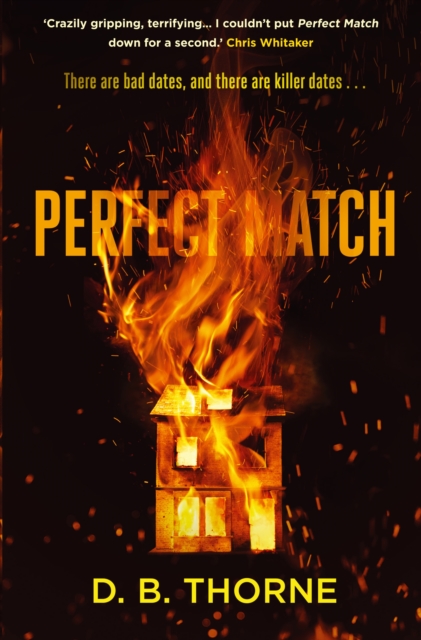 Perfect Match - D. B. Thorne