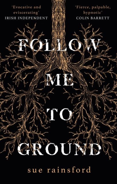 Follow Me To Ground - Sue Rainsford