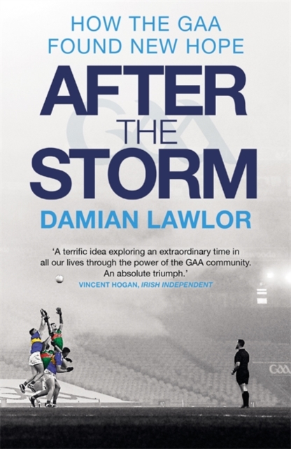 After the Storm - Damian Lawlor