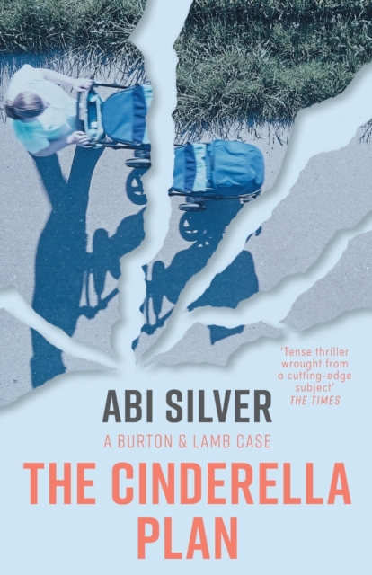 Cinderella Plan - Abi Silver