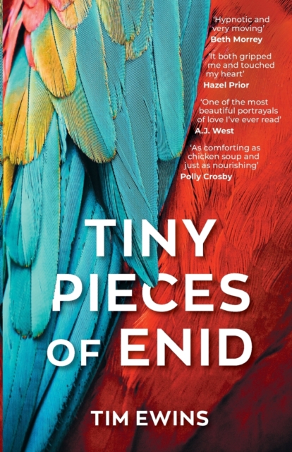 Tiny Pieces of Enid - Tim Ewins