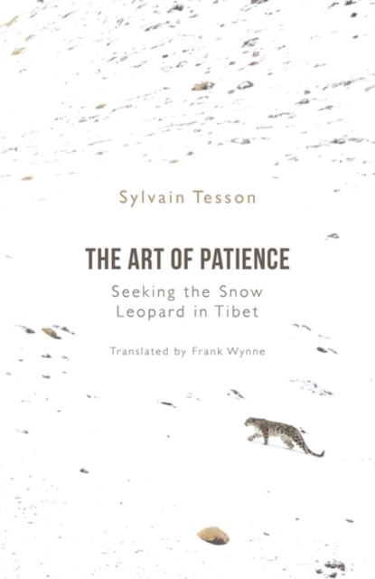 Art of Patience - Sylvain Tesson