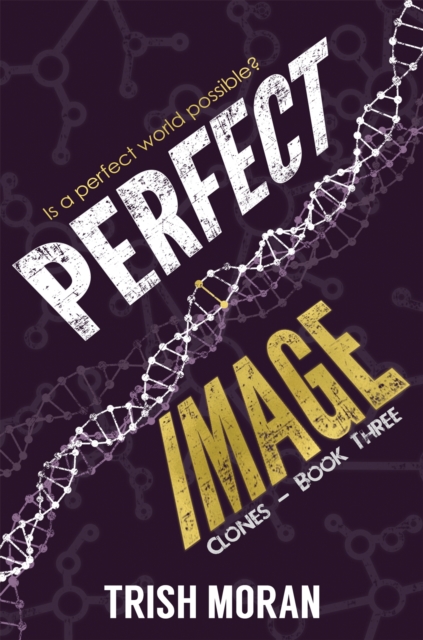 Perfect Image - Trish Moran