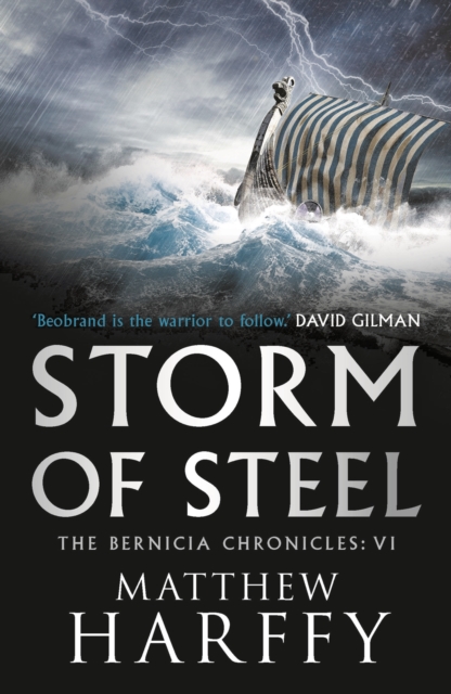 Storm of Steel - Matthew Harffy