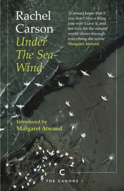 Under the Sea-Wind - Rachel Carson