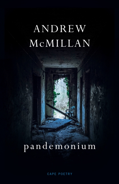 pandemonium - Andrew Mcmillan