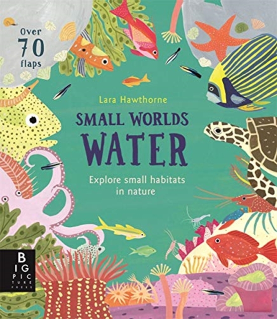 Small Worlds: Water - Lily Murray