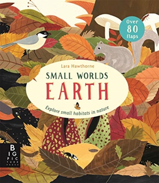 Small Worlds: Earth - Camilla De La Bedoyere