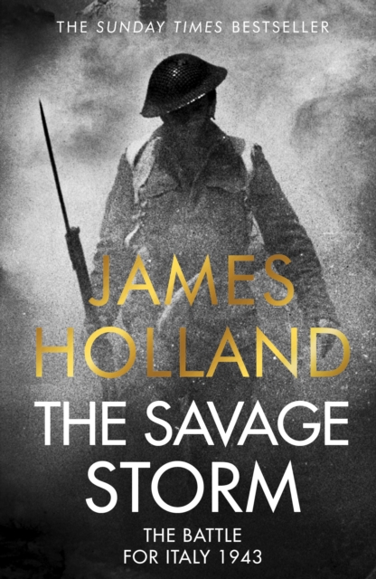 Savage Storm - James Holland