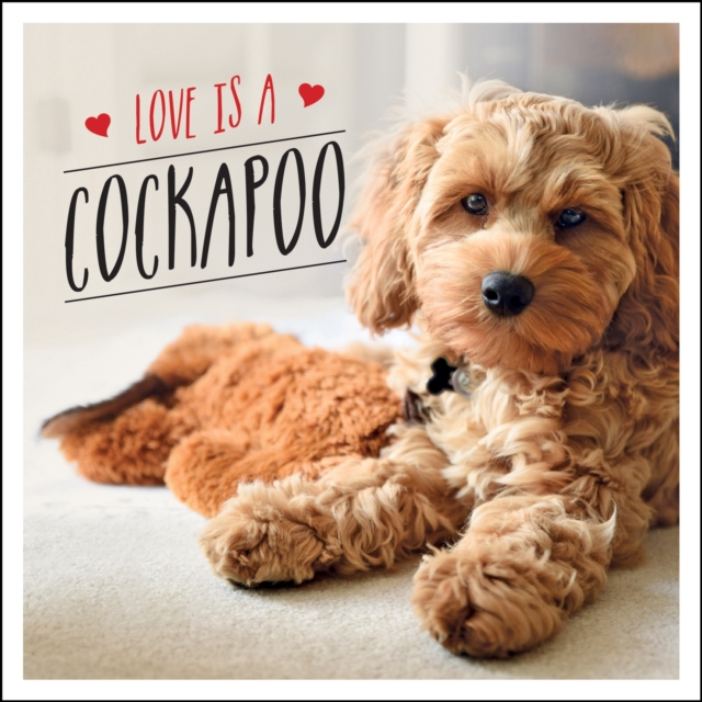 Love is a Cockapoo - Charlie Ellis