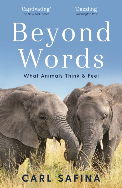 Beyond Words - Carl Safina