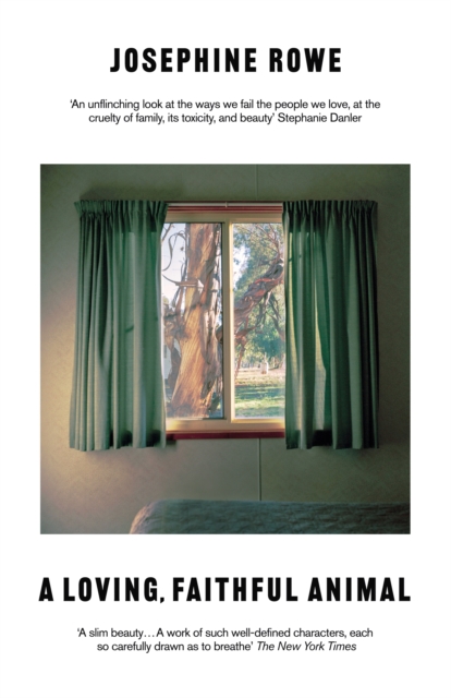 Loving, Faithful Animal - Josephine Rowe