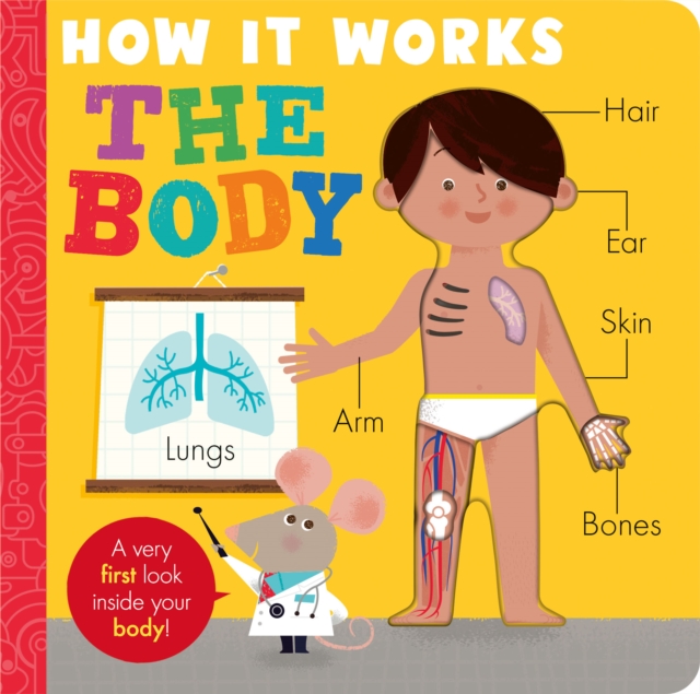 How it Works: The Body - Amelia Hepworth