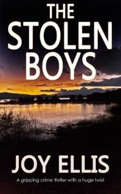 Stolen Boys - Joy Ellis