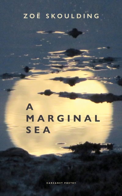 Marginal Sea - Zoe Skoulding