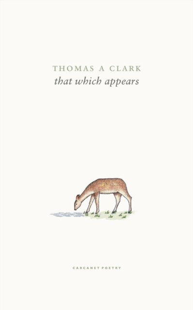 that which appears - Thomas A Clark