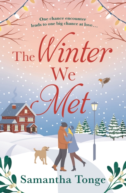 Winter We Met - Samantha Tonge