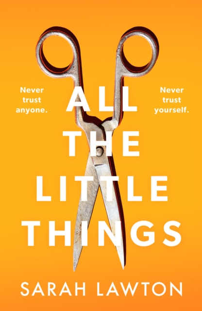 All The Little Things - Sarah Lawton
