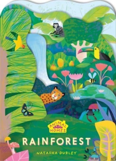 Animal Homes: Rainforest - 