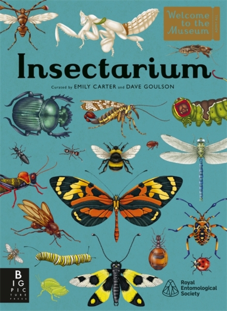 Insectarium - Dave Goulson