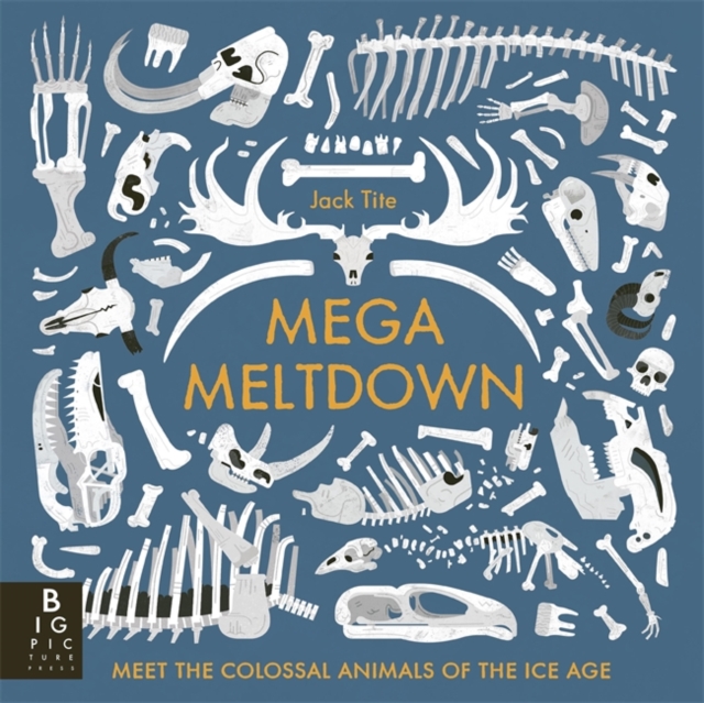 Mega Meltdown - Jack Tite