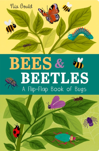 Bees & Beetles: A Flip-Flap Book of Bugs - Molly Littleboy