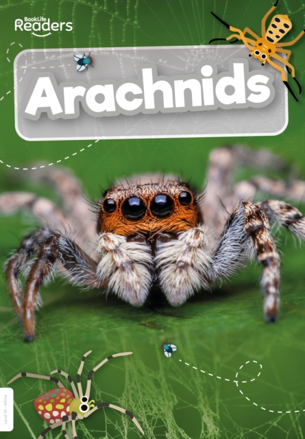 Arachnids - Joanna Brundle