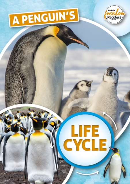 Penguin's Life Cycle - Madeline Tyler