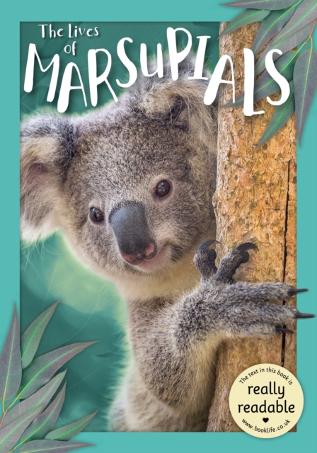 Lives of Marsupials - Madeline Tyler