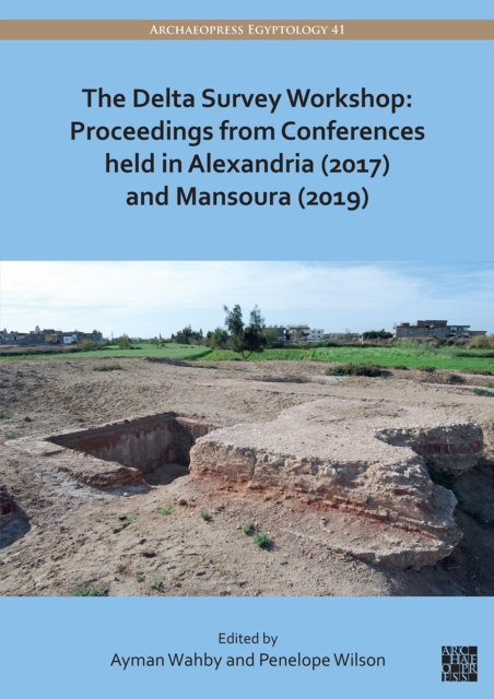 Delta Survey Workshop: Proceedings from Conferences held in Alexandria (2017) and Mansoura (2019) -