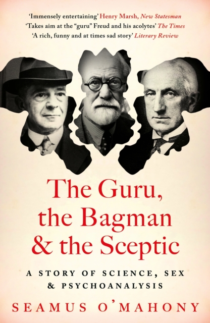 Guru, the Bagman and the Sceptic - Seamus O'mahony