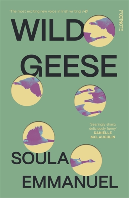 Wild Geese - Soula Emmanuel