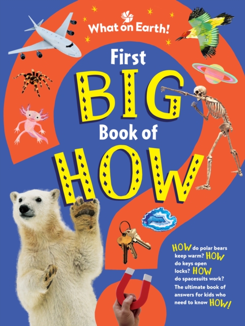 First Big Book of How - Sally|taylor Symes