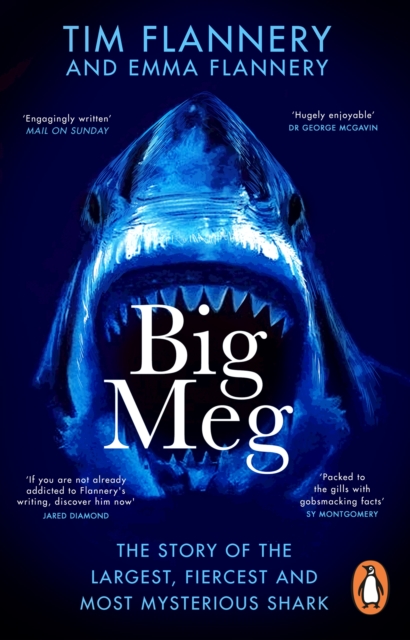 Big Meg - Tim|flannery Flannery