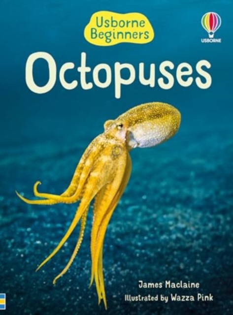 Beginners Octopuses - James Maclaine