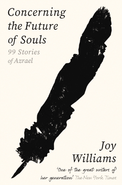 Concerning the Future of Souls - Joy Williams