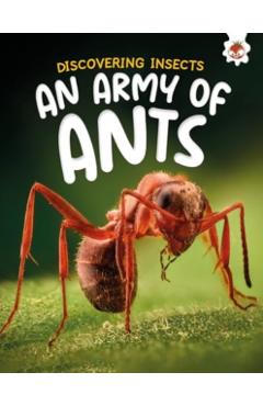 Coperta cărții 'Discovering Insects: An Army of Ants - Rebecca Storm'
