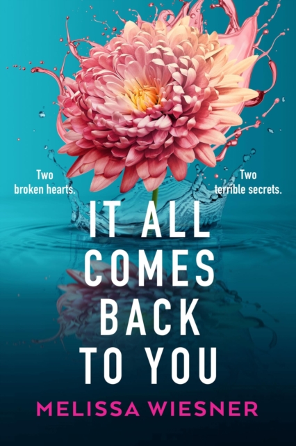 It All Comes Back to You - Melissa Wiesner