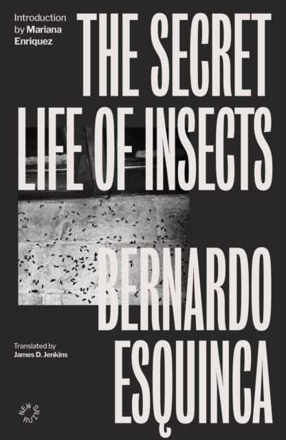 Secret Life of Insects - Bernardo Esquinca