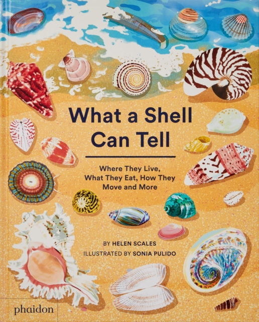 What A Shell Can Tell - Helen Scales