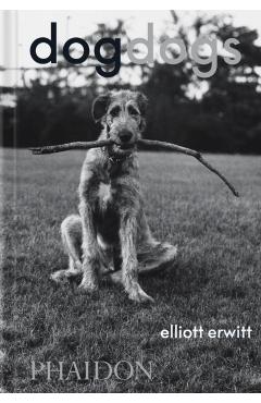 DogDogs -