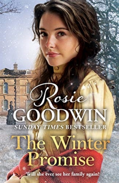 Winter Promise - Rosie Goodwin