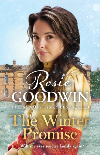 Winter Promise - Rosie Goodwin