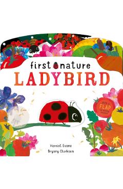Coperta cărții 'Ladybird - Harriet Evans'