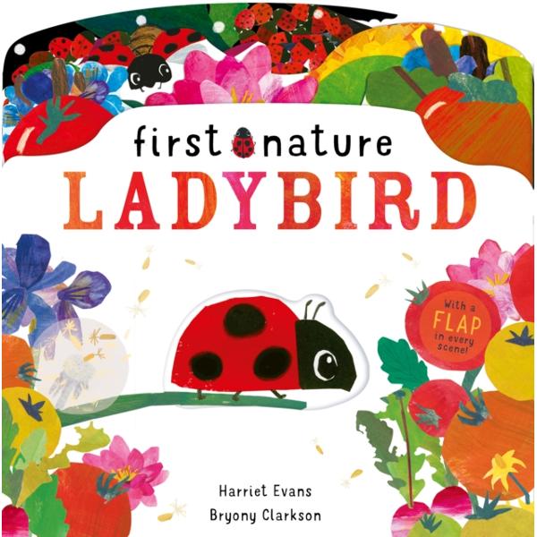 Ladybird - Harriet Evans